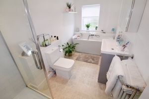 Photo 50- click for photo gallery